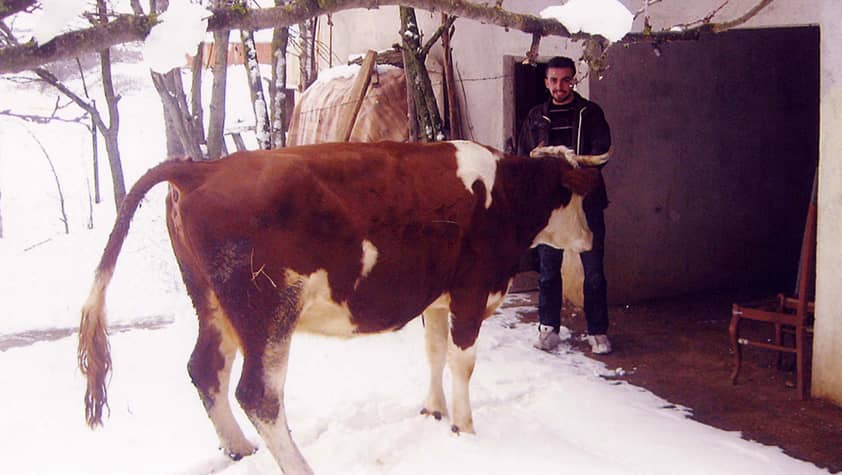 Nikola from Kosovo: Production of milk